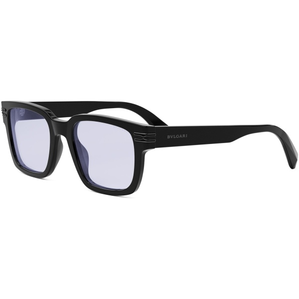 BV50010I-53020