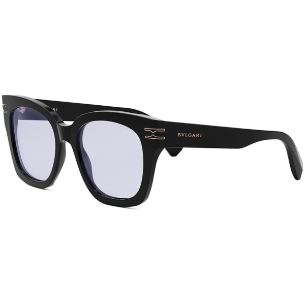 BV50008I-51001